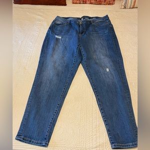 Lane Bryant 22W Boyfriend Genius Fit Jeans Plus Size